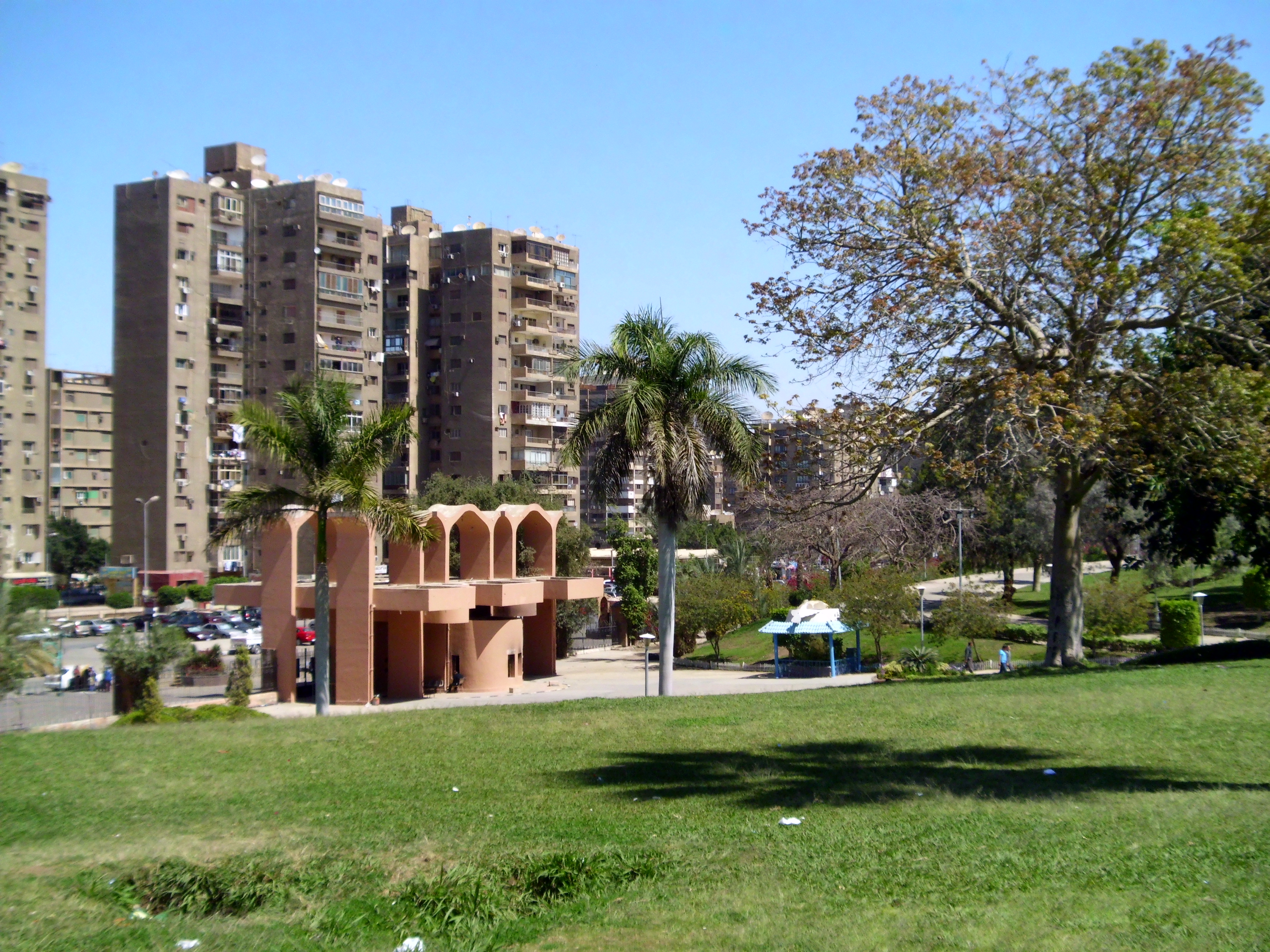 Main Image